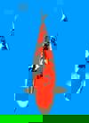 Koi